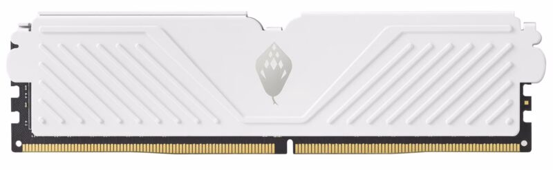 ANACOMDA S 16GB (1 x 16GB) DDR4 3200MHz CL16 U-DIMM - Image 2